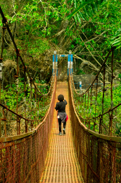 Aalam Tours logo with mountain and island icons