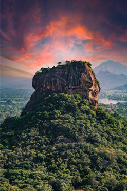 travel package for exploring top Indian and foreign destinations